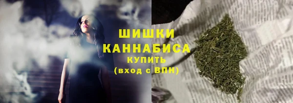 винт Касимов